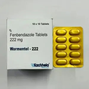 MedQix Online Pharmacy - FENTAB GEN Fenbendazole Tablet Child 2.webp