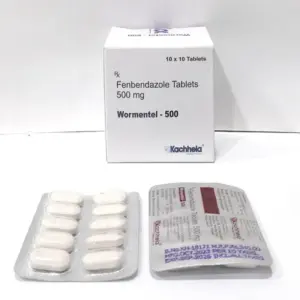 MedQix Online Pharmacy - FENTAB GEN Fenbendazole Tablet Child 4.webp